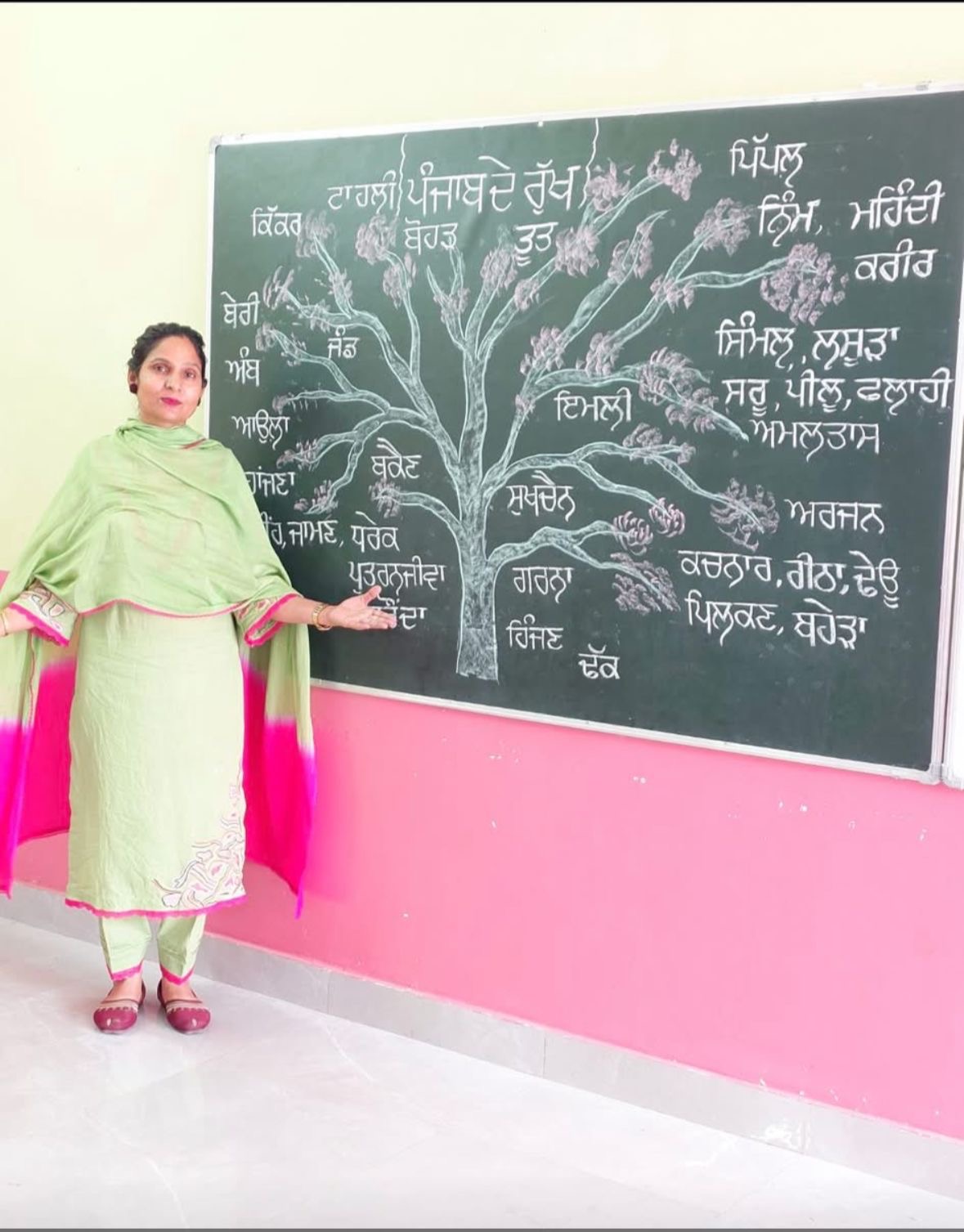 ਮਾਨ ਸਰਕਾਰ ਦੀ ਪ੍ਰੇਰਣਾ ਨਾਲ ਸੋਸ਼ਲ ਮੀਡੀਆ ‘ਤੇ ਗੂੰਜੀ ਮਾਂ-ਬੋਲੀ ਪੰਜਾਬੀ—ਅਧਿਆਪਕਾਂ ਦੀ ਮੁਹਿੰਮ ਨੂੰ ਹਜ਼ਾਰਾਂ ਦਾ ਸਾਥ *